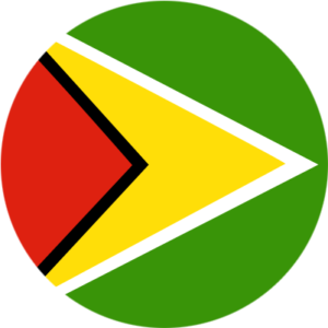 GY-esim