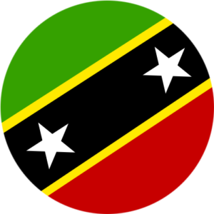KN-esim