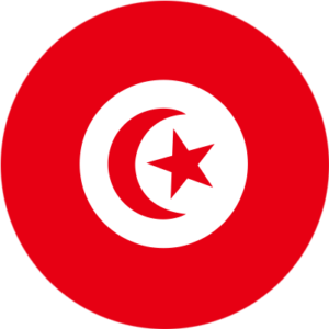 TN-esim
