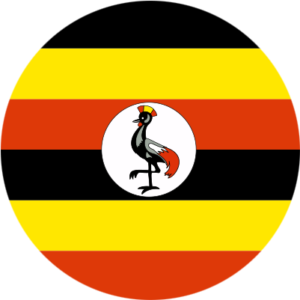 UG-esim